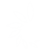 www.stressherstel.com logo